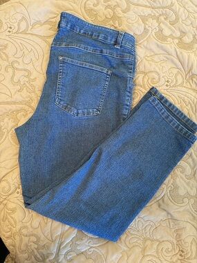 Woman Within Straight Leg Jeans in Blue
